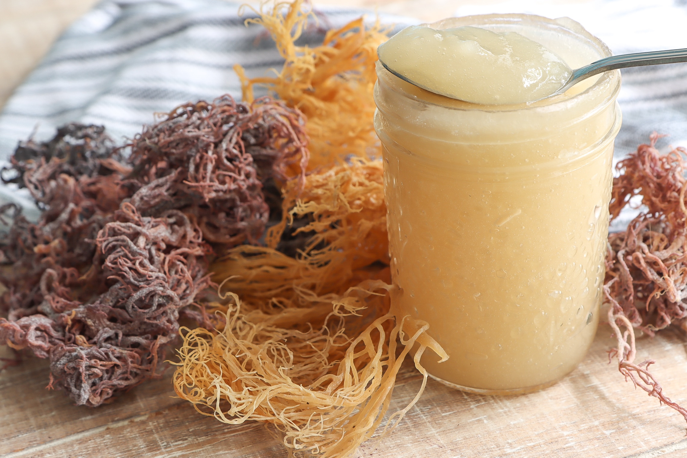 The Marvelous Benefits of Sea moss: A Natural Anti-Inflammatory Powerhouse